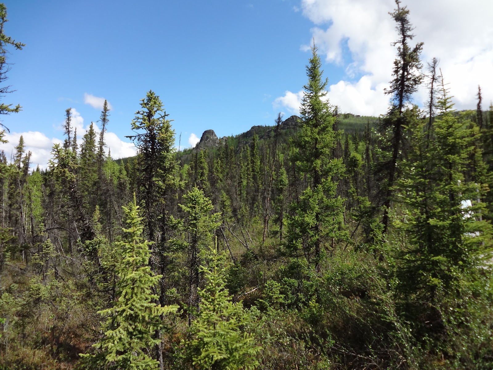 Angel Rocks Trail, Fairbanks