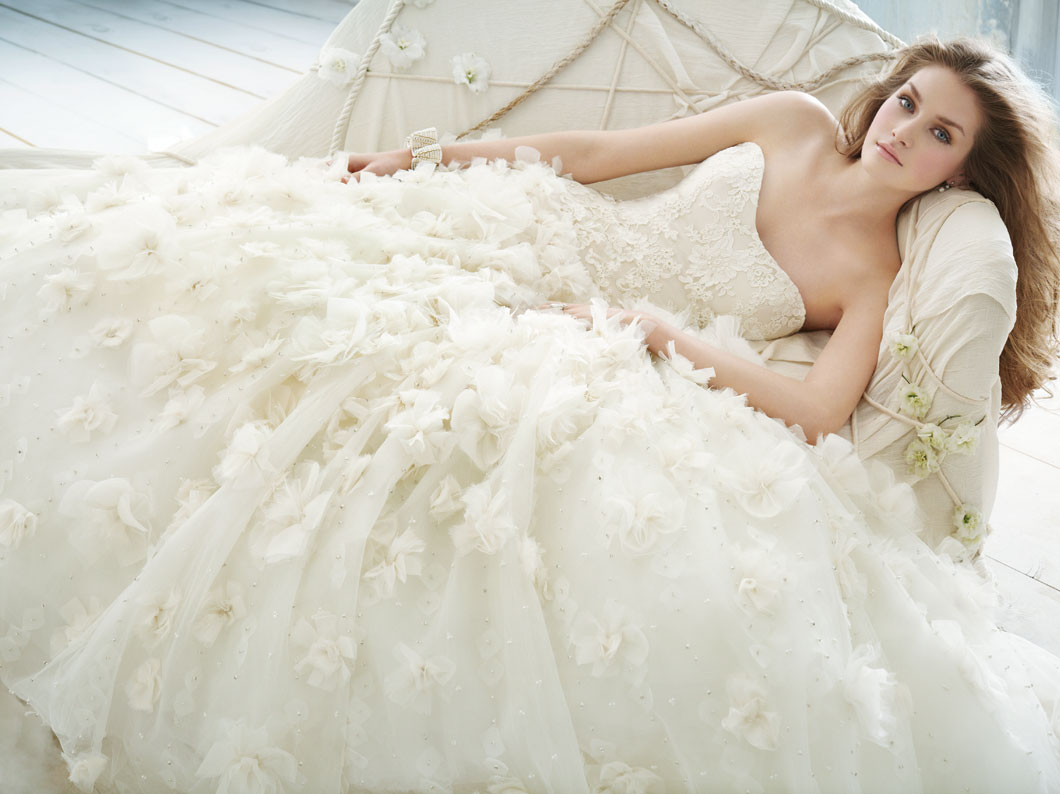 Beautiful Lace Ball Gown Wedding Dresses