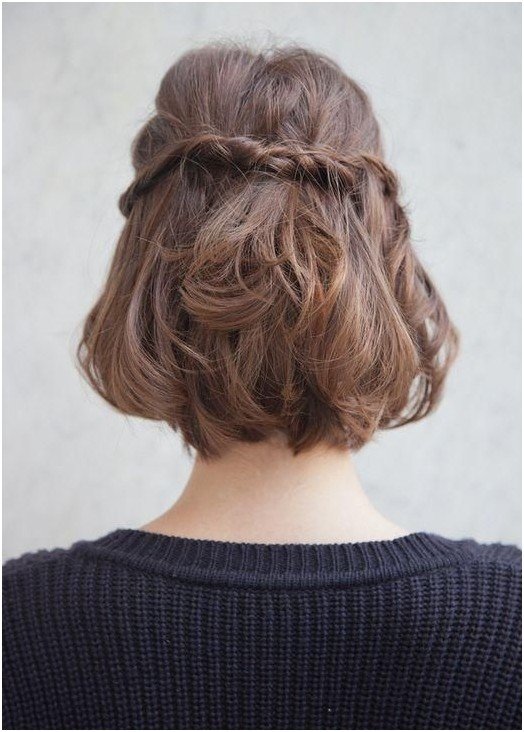 Short Hairstyles Braids Half Up