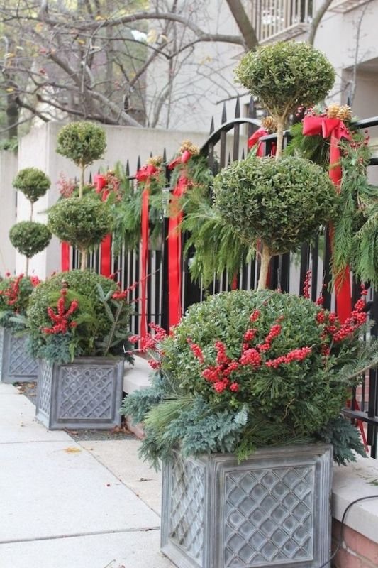 outdoor-christmas-topiaries