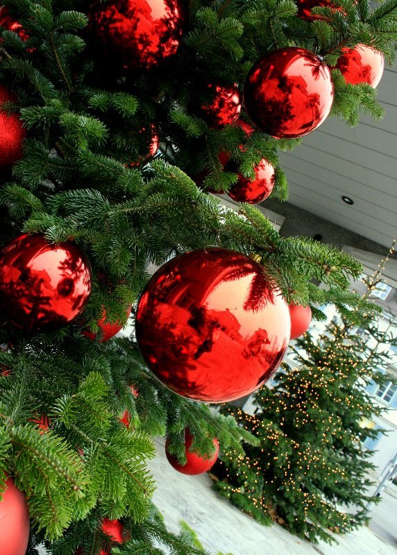 outside-christmas-tree-ornaments-decorations