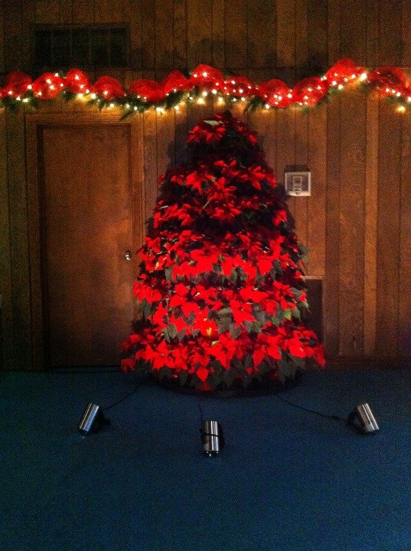Poinsettia Christmas Tree in Church