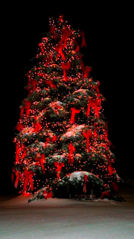beautiful-christmas-tree