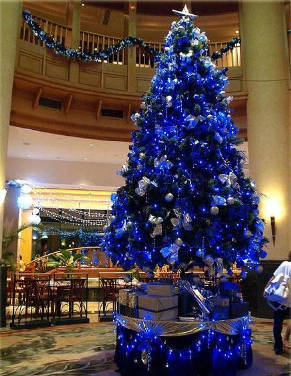 blue-christmas-trees