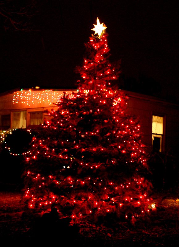 christmas-tree-with-red-lights