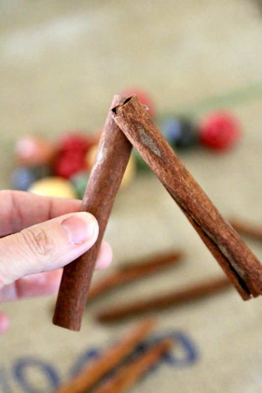 cinnamon-stick-star-ornament