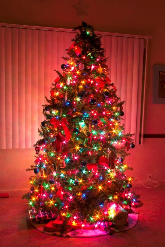 decorated-christmas-trees-with-colored-lights