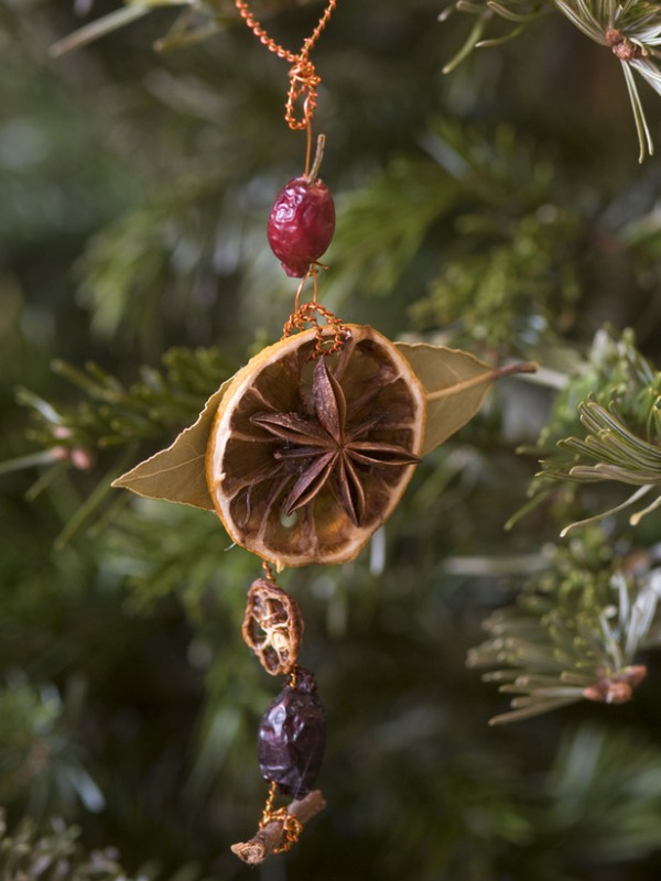 dried-fruit-christmas-tree-decorations