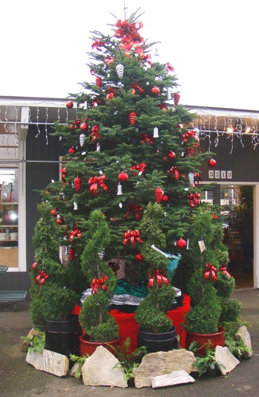 great-natural-christmas-tree-decorations