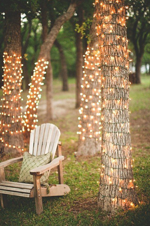lights-around-trees