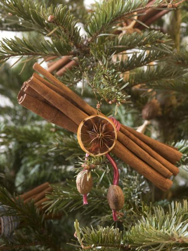 natural-christmas-ornaments-to-make