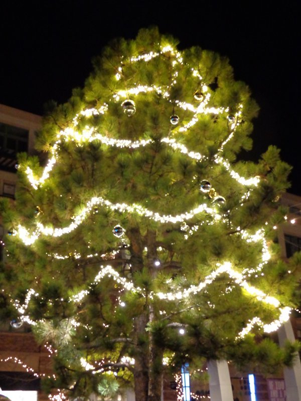 outdoor-garland-with-christmas-tree