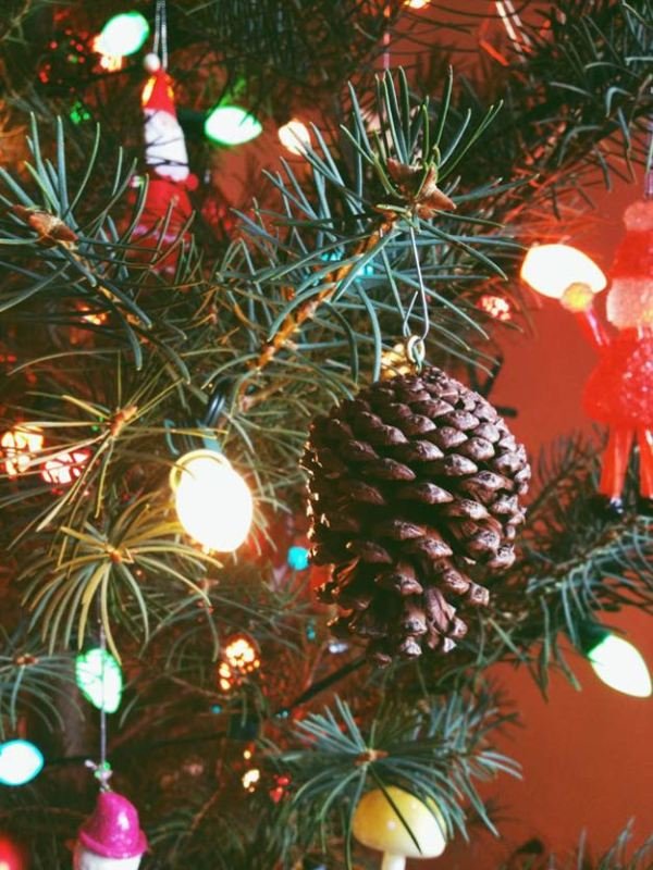 pine-cone-ornaments
