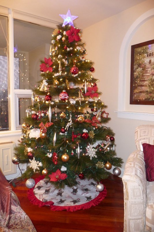 regardless-real-tree-artificial-one