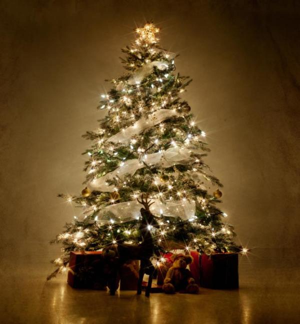beautiful-christmas-tree-in-gold-white-lights