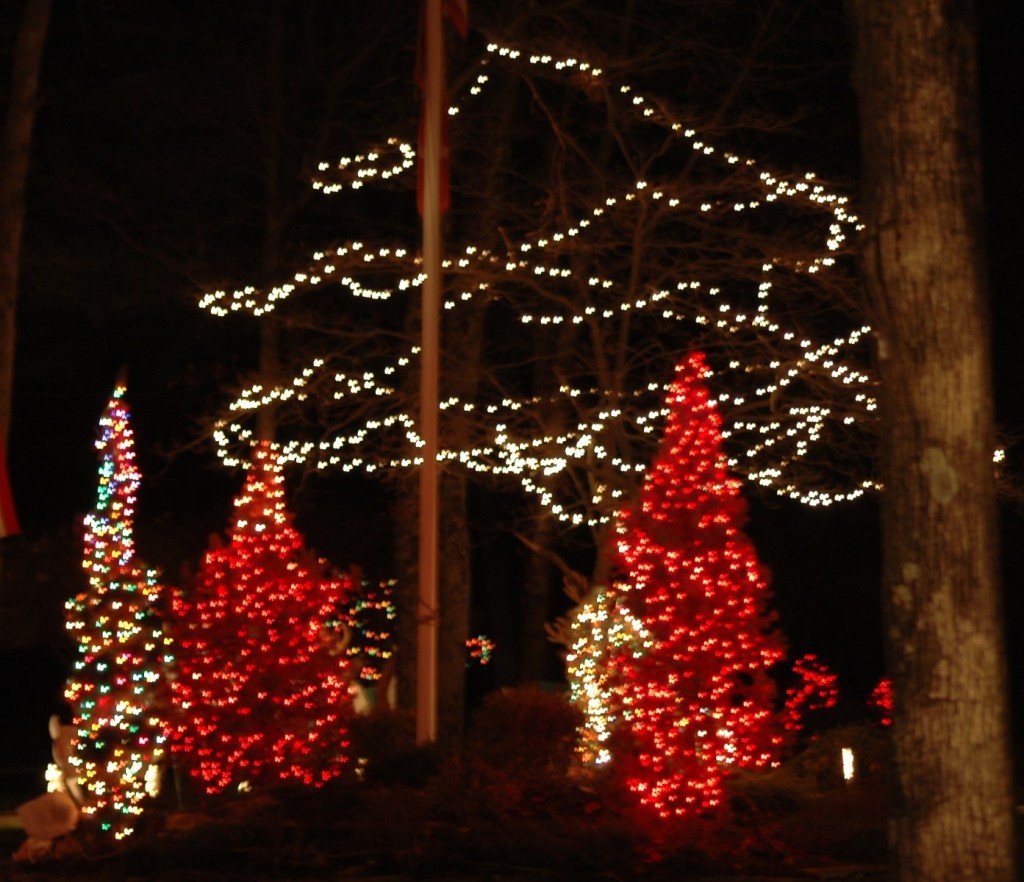 25 Christmas Yard Decorations Ideas for This Year